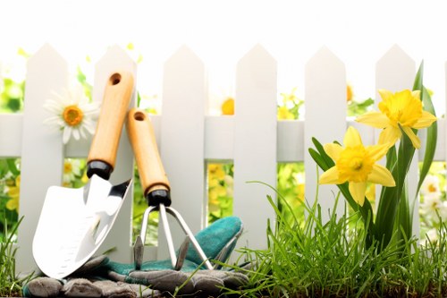 Selection of eco-friendly cleaning products