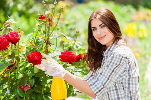 Essential cleaning supplies for sofas